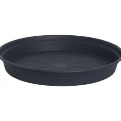 Alunen Gardenico Camelie 40 cm