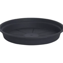 Alunen Gardenico Camelie 15 cm