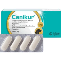Canikur 12 kpl koirille ripuliin