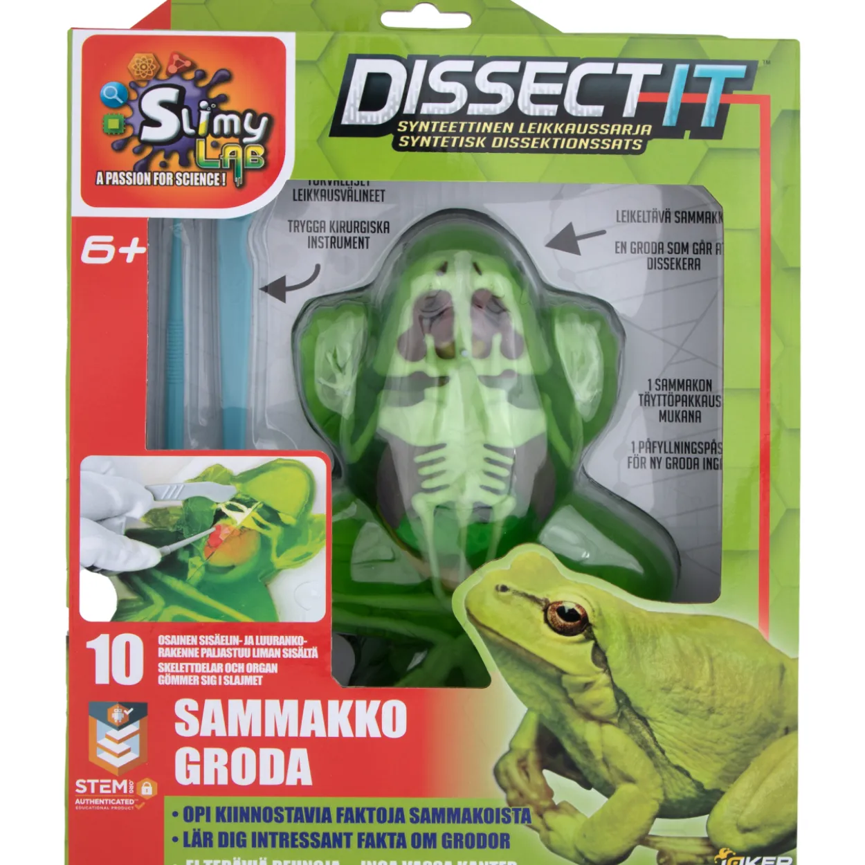 Dissect it Sammakko