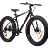 Fatbike Swoop Tourer 26"