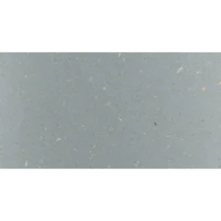 Hiilihapotuslaite Mysoda Glassy Pigeon