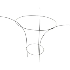 Kasvituki Pioni Ø30/60 cm, korkeus 1 m