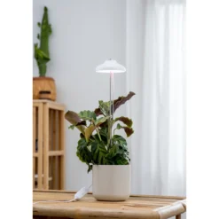 Kasvivalo Airam Iris 5W/835 240 lm valkoinen