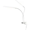 Kasvivalo Airam Tulip 16W/940 780lm