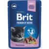Kissanruoka Brit Premium 100 g valkoinen kala kastikkeessa pennuille