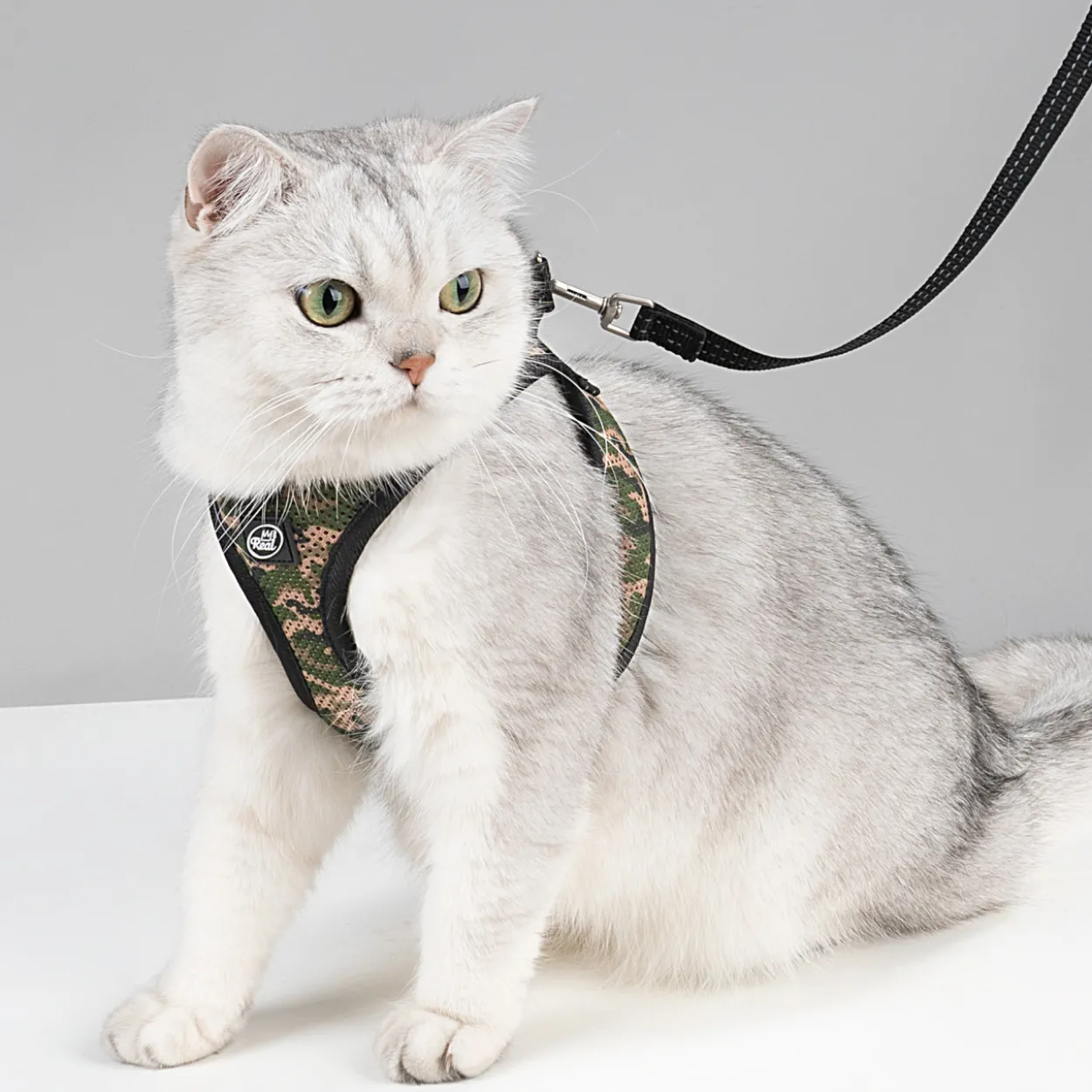 Kissanvaljaat + talutin -setti Real Cat Camo