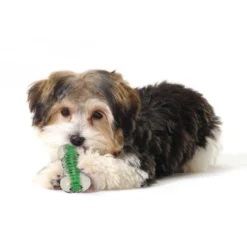 Koiran purulelu Petstages Crunchcore XS
