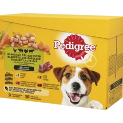 Koiranruoka Pedigree 12 x 100 g Adult kastikelajitelma