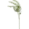 Kultasadekassia Kotikulta 97 cm