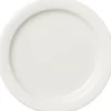 Lautanen 26cm Arctica