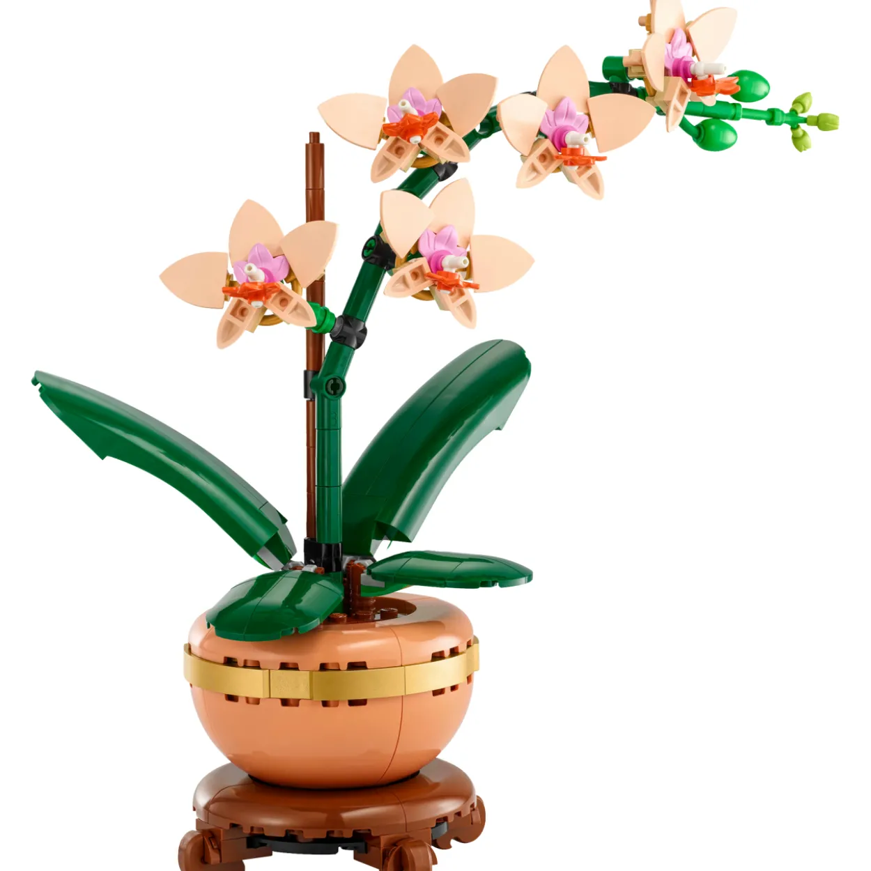 LEGO Botanicals 10343 Miniorkidea