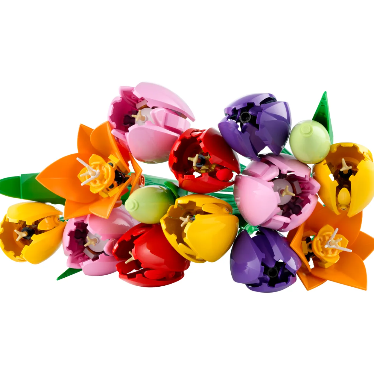 LEGO Botanicals 11501 Tulppaanikimppu
