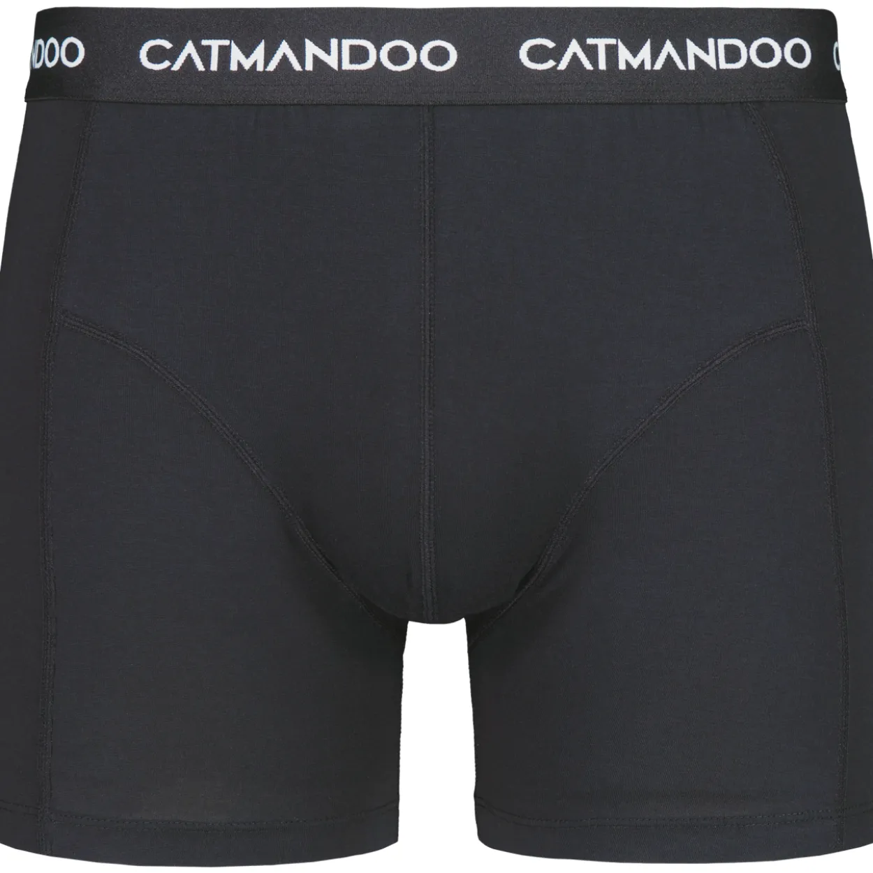 Miesten bokserit Catmandoo Danville Tence