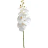 Orkideaoksa Kotikulta 94 cm valkoinen