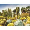 Palapeli Ravensburger 1000 palaa Huntington Desert Garden