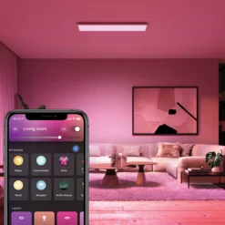 Paneelivalaisin Philips Hue Surimu suorakaide 60W