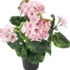 Pelargonia Kotikulta 30 cm ruukussa pinkki