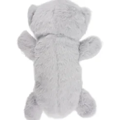 Penaali Iisi koala