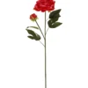 Pionin oksa Kotikulta 70 cm