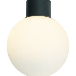 Plafondi Aneta Lighting Saltvik ulos musta/valkoinen