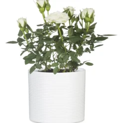 Ruukku Scheurich 828 19 cm valkoinen