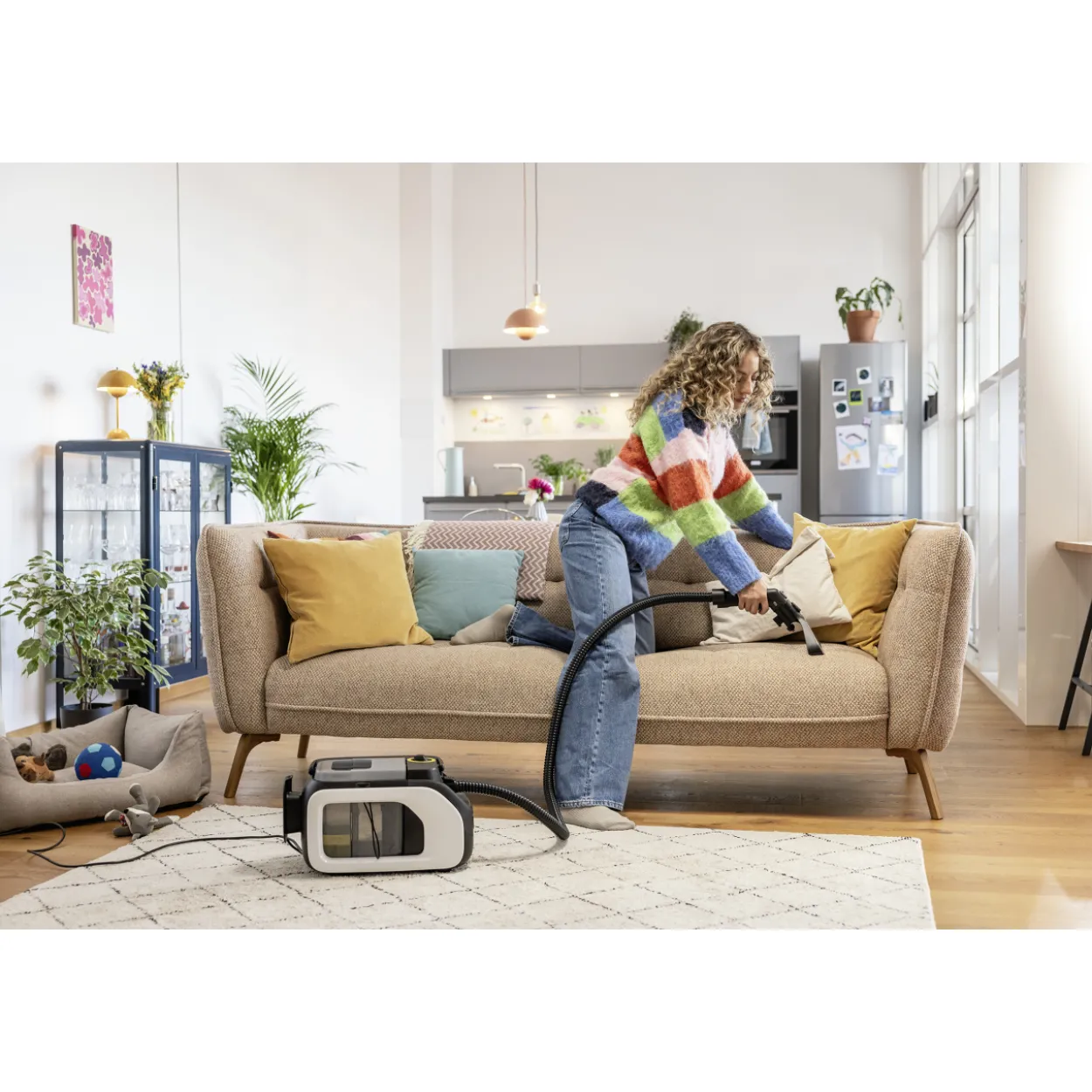 Tekstiilipesuri Kärcher SE 3 Compact Home