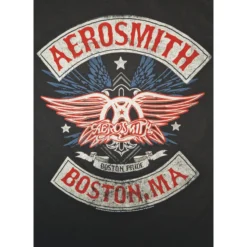 T-paita Aerosmith Boston Pride
