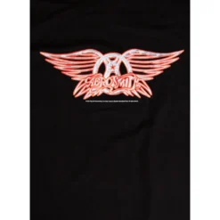 T-paita Aerosmith Logo