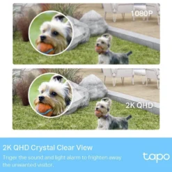 Valvontajärjestelmä TP-LINK Tapo C420S1 WiFi