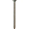 Yleisruuvi Arctic Marine DIN7983-C 4,2x25 A4, 20 kpl